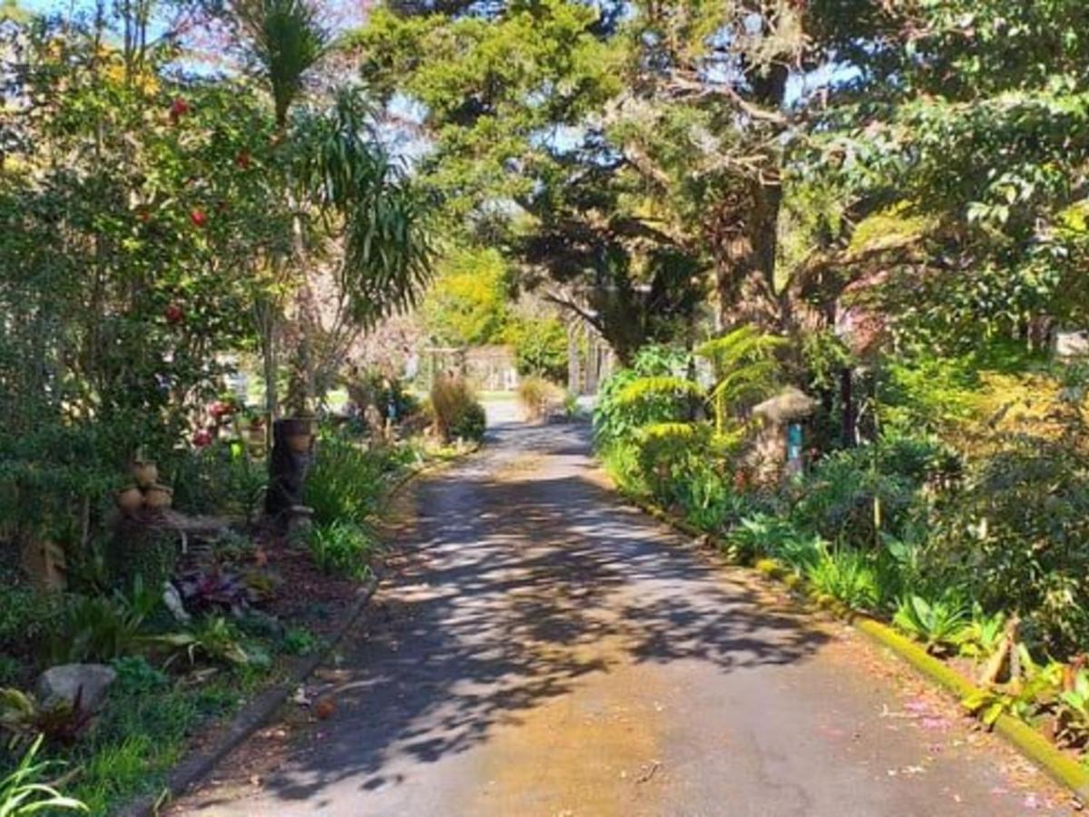 Waimoana Garden Accommodation วานกาไร ภายนอก รูปภาพ