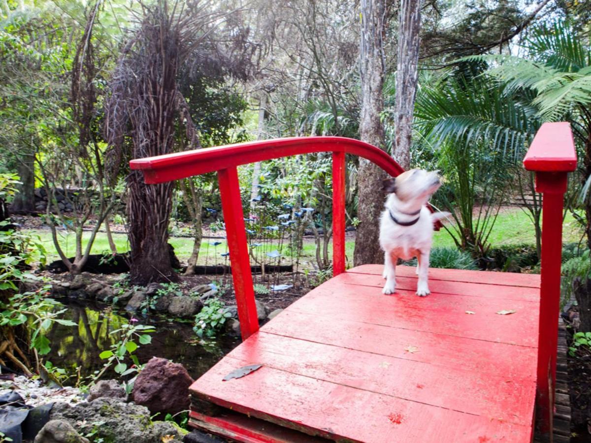 Waimoana Garden Accommodation วานกาไร ภายนอก รูปภาพ
